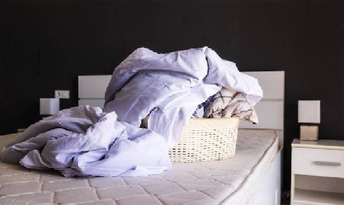 Hire a Skilled Bed Bug Infestation Lawyer in Tampa